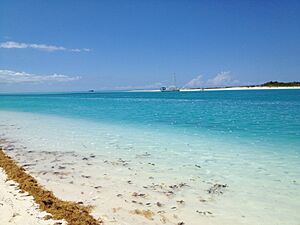 Archivo:Pine Cay - panoramio