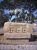 Archivo:Port Elizabeth Horse Memorial