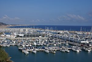 Archivo:Port Ginesta-servicios portuarios