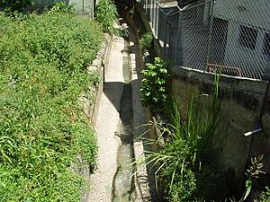 Archivo:Quebrada Chacaito