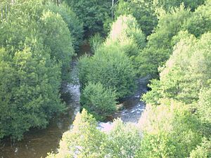 Archivo:Río Eria en Villaferrueña