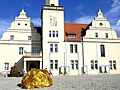Rathaus Coswig- Art exhibition in Projektraum Coswig