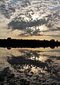 Reflejos Guadiloba