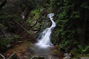Archivo:Retezat Mountain - Spring Waterfall 02