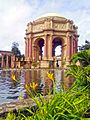 San Francisco Palace of Fine Arts - with Trees 02