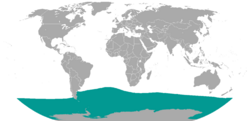 Distribución del elefante marino del sur