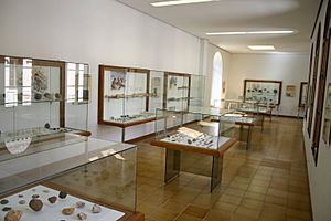 Archivo:Spain.Girona.Museu.Arqueologia.de.Catalunya.Int.04.Planta.1