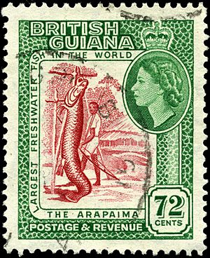 Archivo:Stamp British Guiana 1954 72c