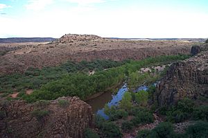 Archivo:Verde River-Arizona