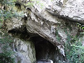 03e La Cuevona Asturias Ni.jpg