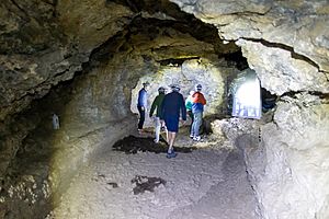 Archivo:At Cueva del Viento 2023 023