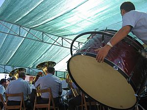 Archivo:Banda del Ejercito del Aire en las fiestas de Aranda de Duero 2007