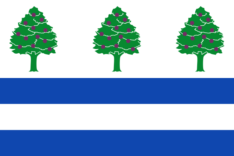 Bandera de Requejo