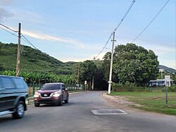 Carretera PR-540, Juana Díaz, Puerto Rico.jpg