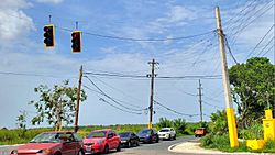 Carretera PR-689, Vega Baja, Puerto Rico.jpg