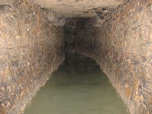 Archivo:Catacombs rueDeLaVoieVerte