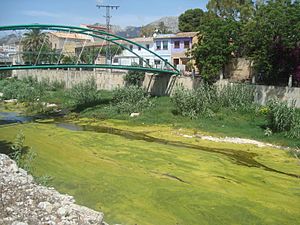 Archivo:Cauce del río Girona o río Ebo a su paso por Beniarbeig