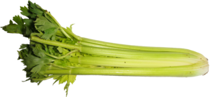 Celery2.png