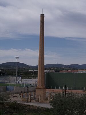Archivo:Chimenea protegida en campo de deportes de Casinos
