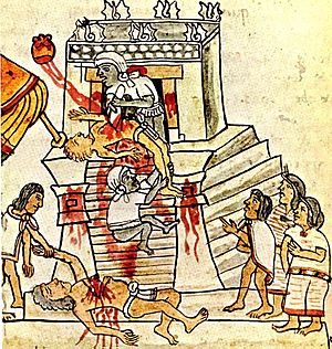 Archivo:Codex Magliabechiano (141 cropped)