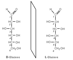 Archivo:D et l glucose