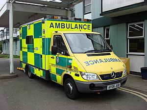 Archivo:East of England emergency ambulance