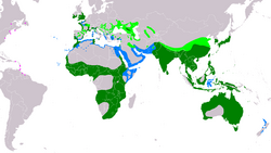 Distribución de Egretta garzetta