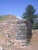 El Castellet de Banyoles (Tivissa) (4)