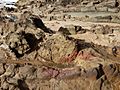 Formaciones rocosas en La Pedrera, Uruguay 09