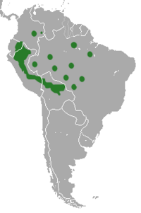Mapa de distribución de Glironia venusta