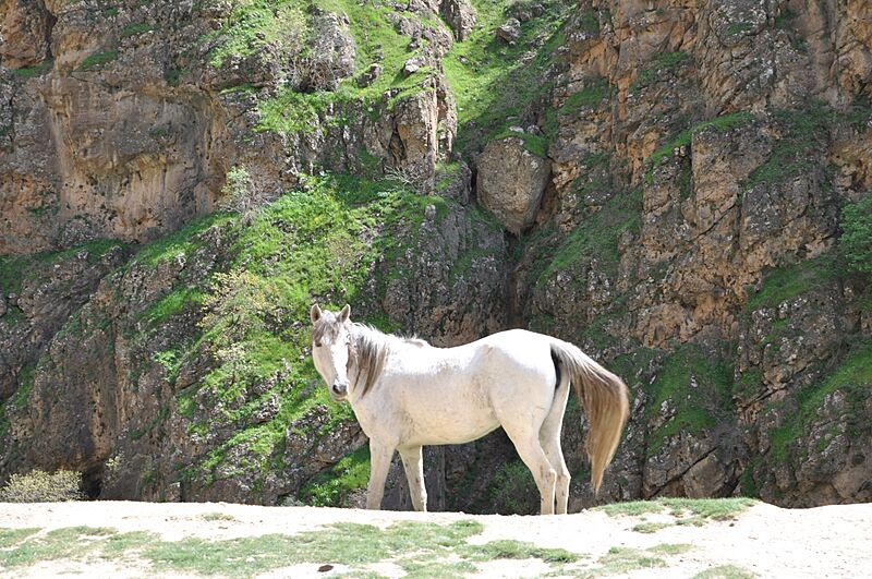 Iraq Kurdistan Erbil Soran