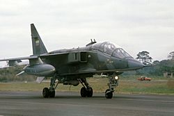 Archivo:Jaguar EB Equador 1986