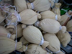 Archivo:Jalapa Tabasco dulces típicos