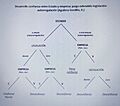 Juego explicativo del desarrollo de la "confianza" Estado-Empresa (Aguilera Gordillo, R.)