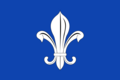 Mesen vlag