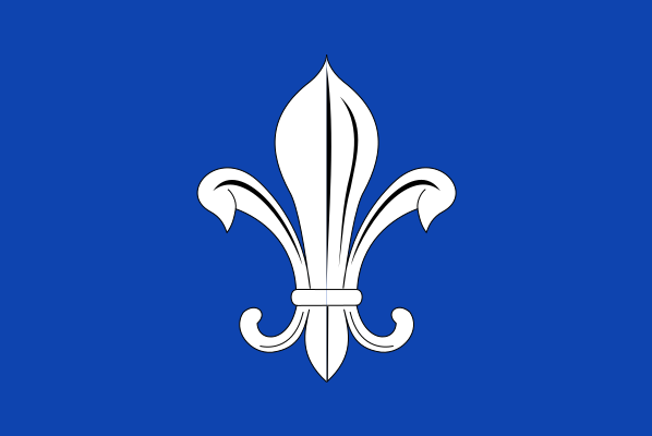 Mesen vlag