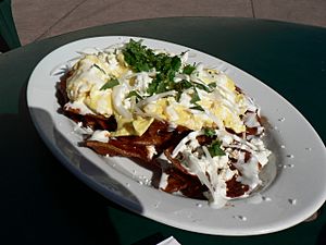 Archivo:Mexican chilaquiles