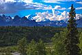 Mt. McKinley area (5856985665)
