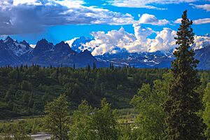 Archivo:Mt. McKinley area (5856985665)