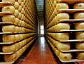 Parmigiano reggiano factory
