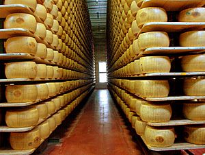 Archivo:Parmigiano reggiano factory