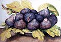 Piatto di Fichi