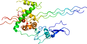 Archivo:Protein COL3A1 PDB 2V53