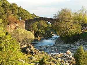 Archivo:Puente de Alardos