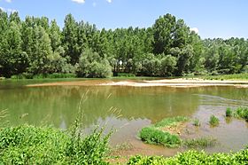 Río Esla en la provincia de Zamora.jpg
