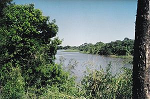 Archivo:Río negro (Chaco, Argentina) in Villa Fabiana