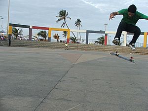 Archivo:Skate no Jardim dos Namorados