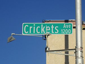 Archivo:The Crickets Avenue, Lubbock, TX IMG 1641