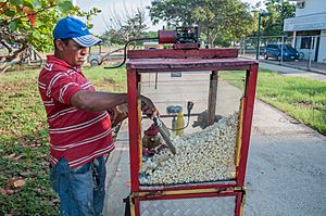 Archivo:Vendedor de Palomitas de Maiz