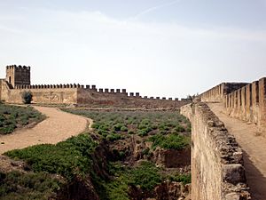 Archivo:Vista desde el adarve dela Alcazaba de Badajoz